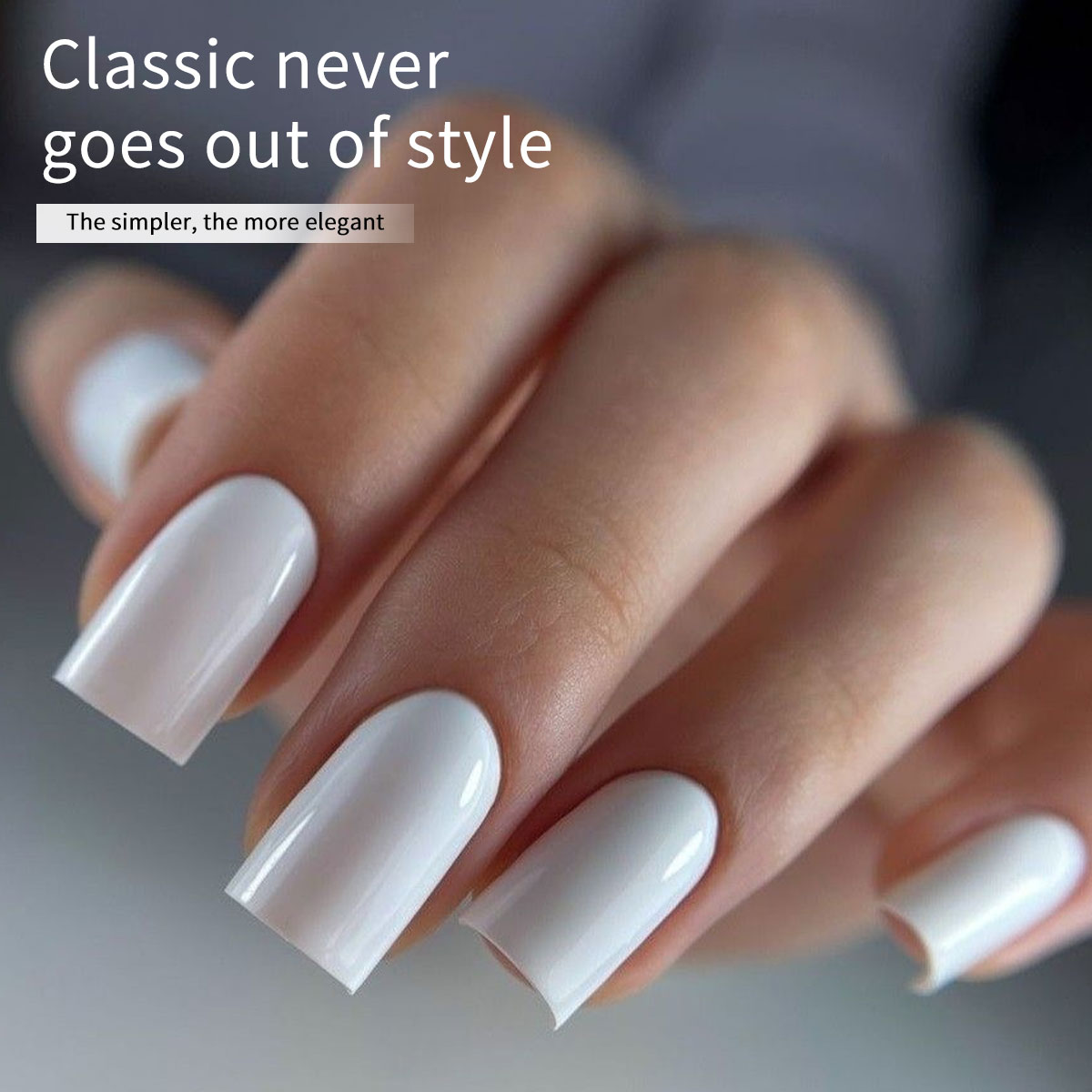 Hassleless 2-Pack Pure White + - Gel Refill Pack 评论和价格